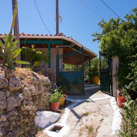 Basil & Guest House Lazarata Exterior photo